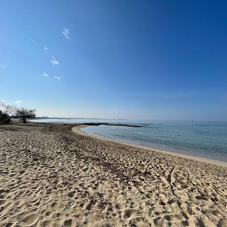 Casa Lido Conchiglie Lägenhet Lido Conchiglia